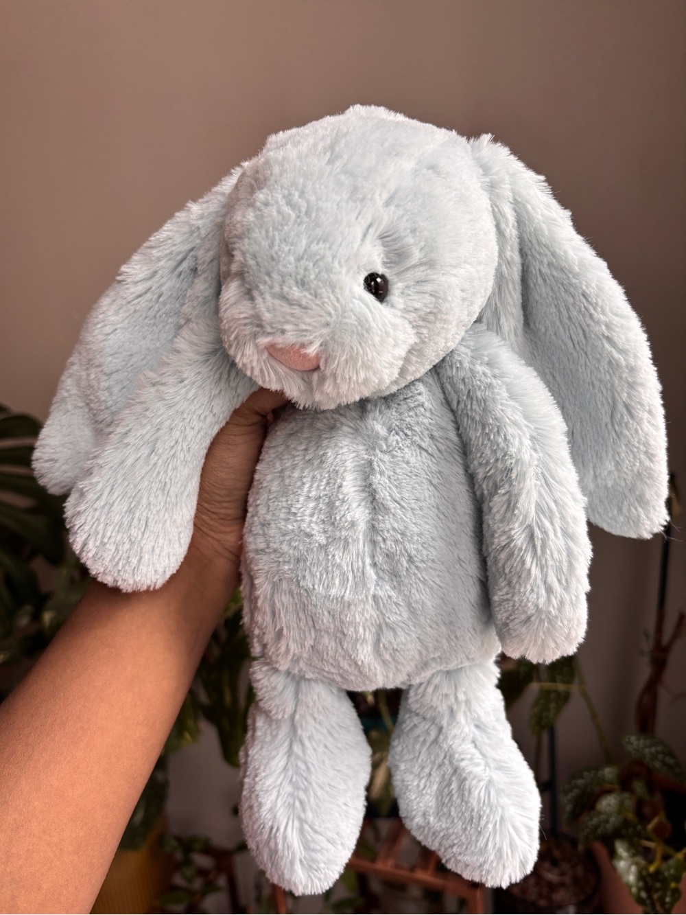 Jellycat Retired Bashful Beau Bunny Plush - Picture 3 of 6